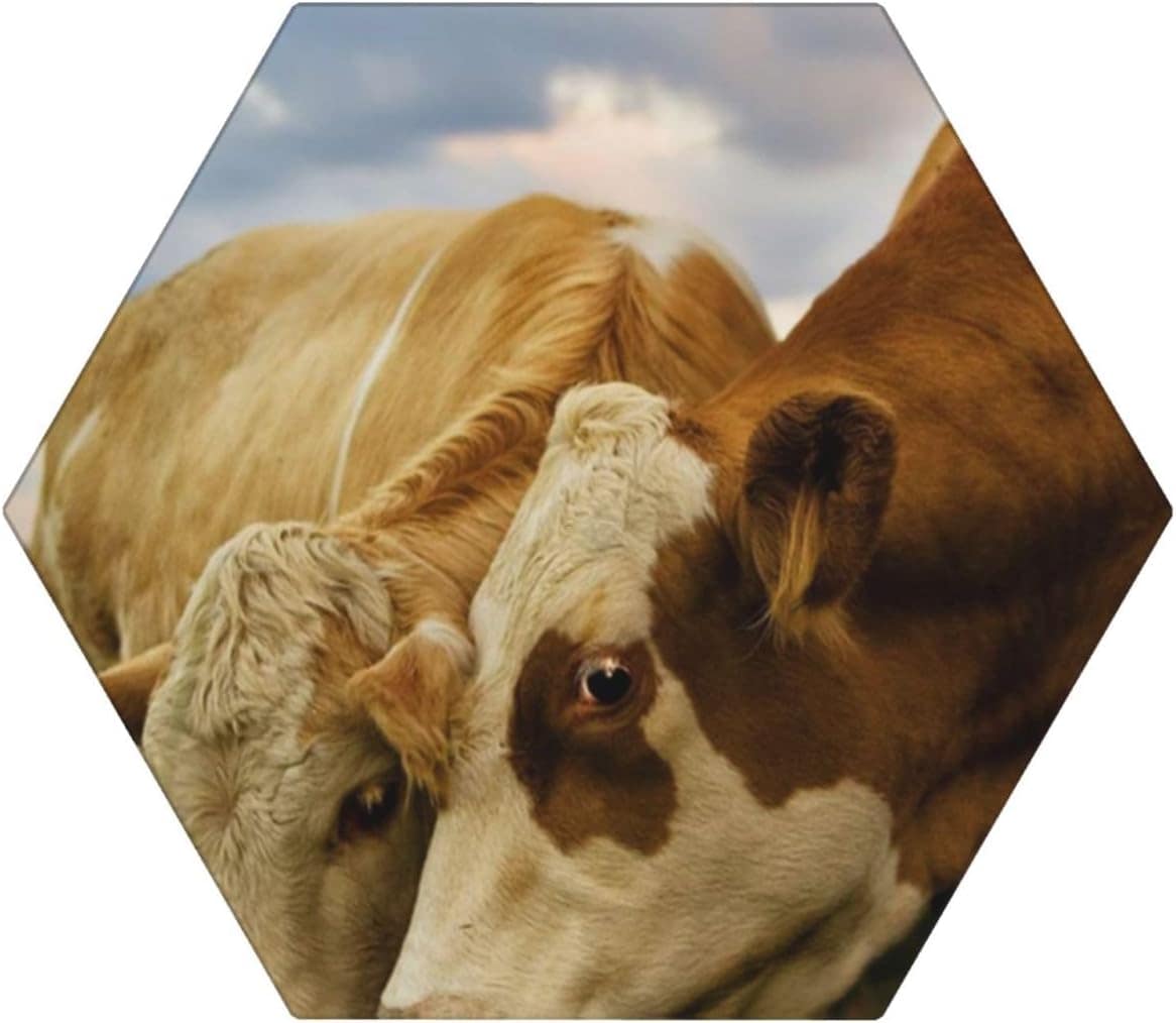 Conjunto de 6 porta-copos de cerâmica com estampa de vaca le...