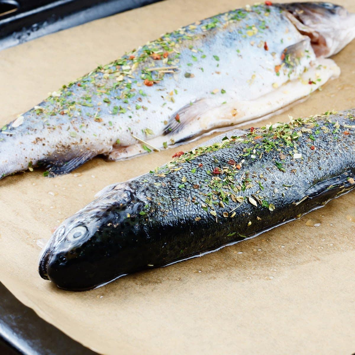 Bluedrop Assadeiras forros de forno, torradeira crocante, fo... - Image 9