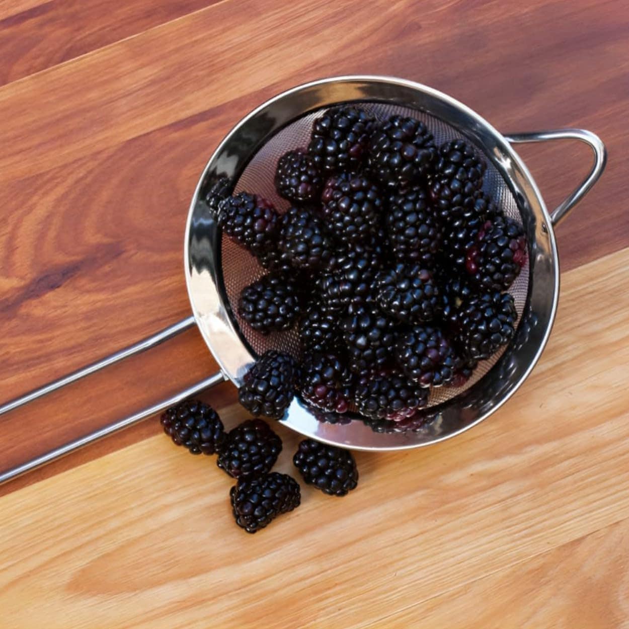 Jogo 3 Peneiras em Aço Inox Resistente Luxo Para Coar Polvil... - Image 8