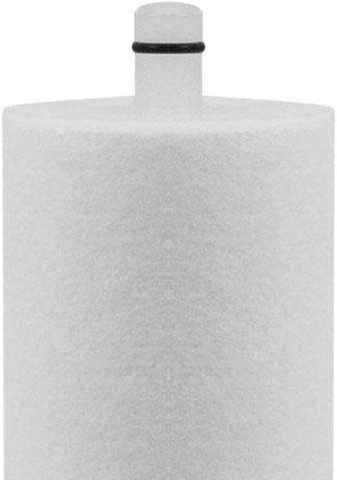 Refil para Filtragem Rf-01 Naturalis, Lorenzetti, 7411118, B... | É bom mesmo? Descubra antes de comprar - Image 2